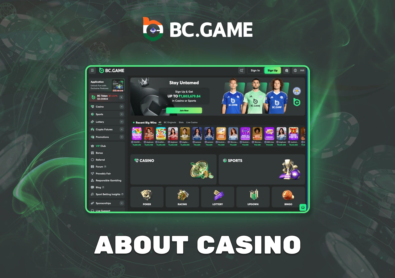 Different categories of games and features of the platform from the bookmaker